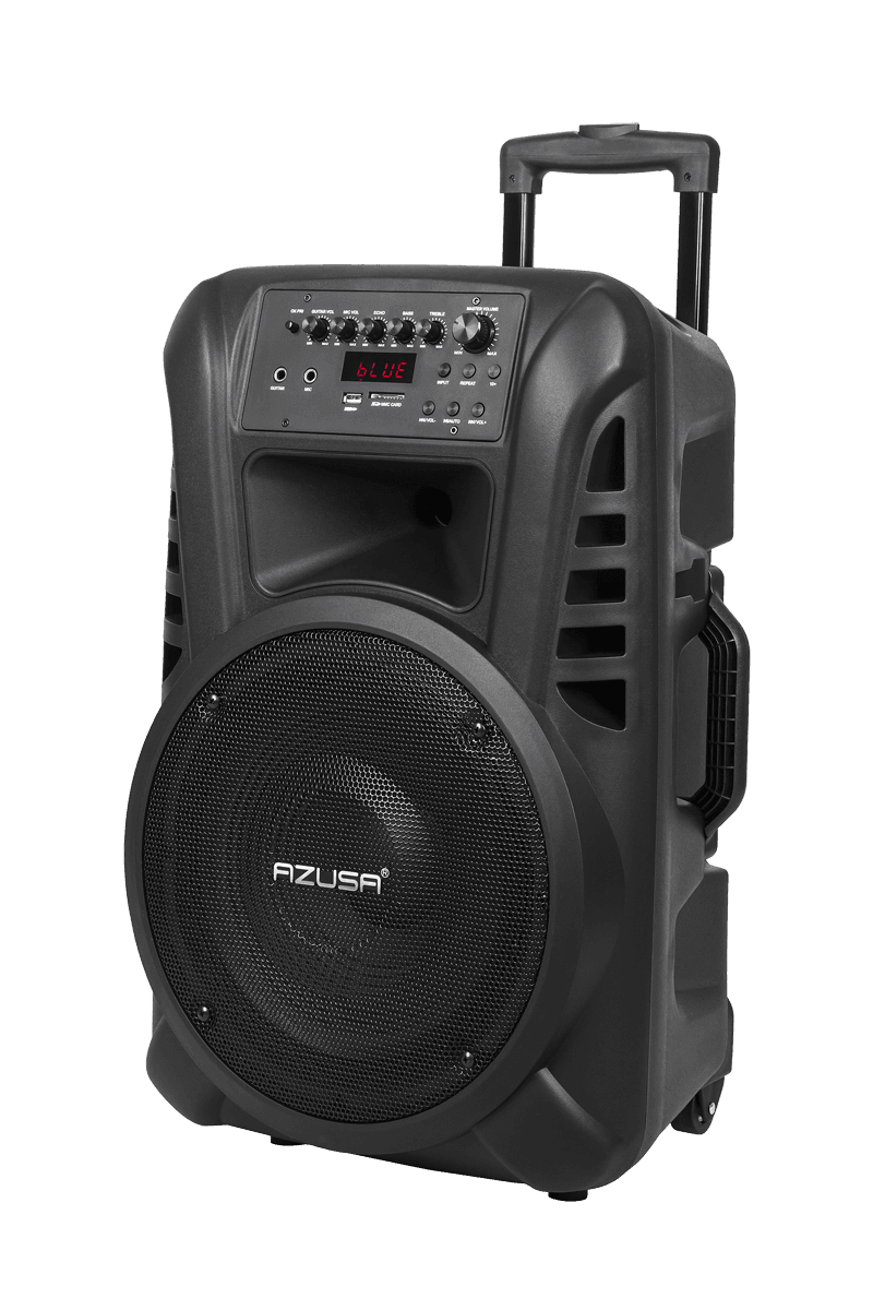 Aktyvi kolonėlė (su 2 belaidžiais mikrofonais, SD, BluetoOth, USB) 12 & quot; 40W